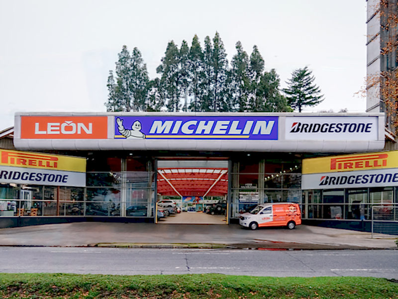 León Puerto Montt