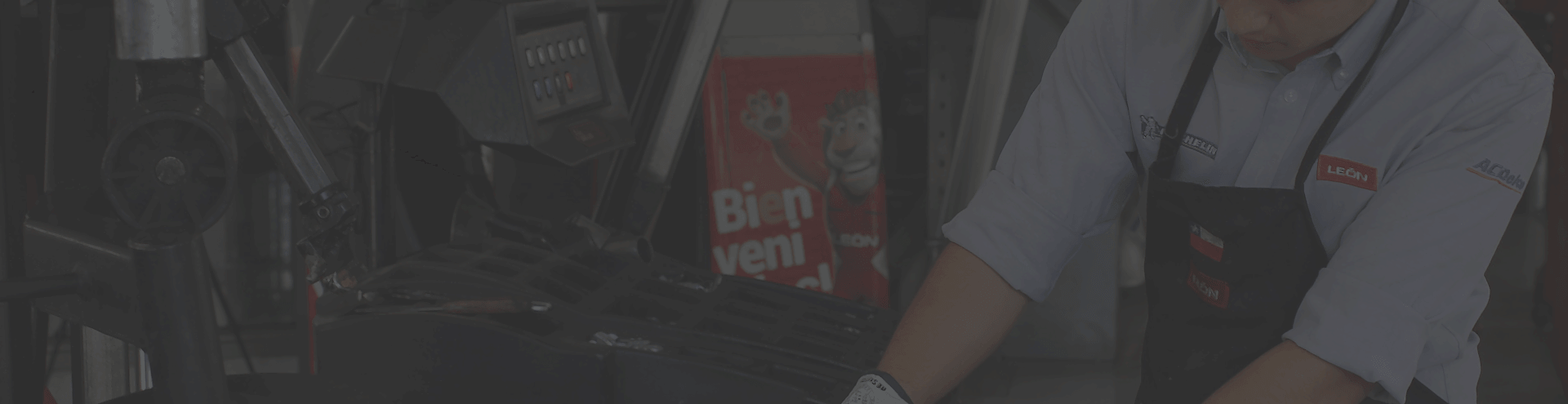 fondo